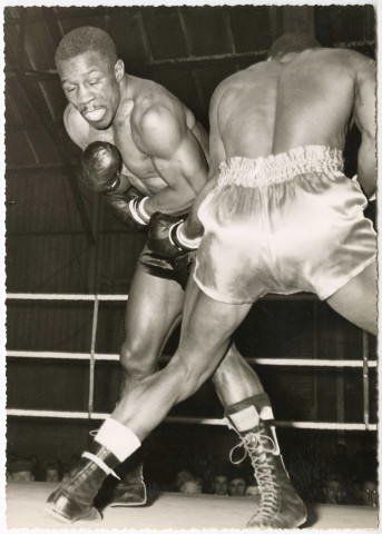 Scènes de combat sur le ring