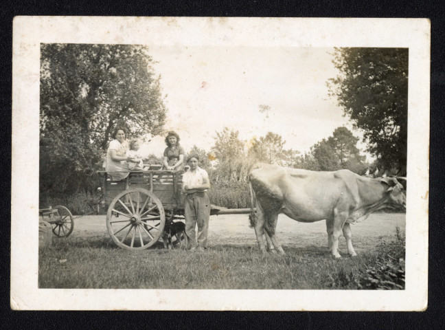 Léa Vince (1924-2010) (à gauche), tenant dans ses bras son neveu, le fils de sa belle-soeur Isabelle (à droite) sur une charrette, réfugiés au Dresny à Plessé
