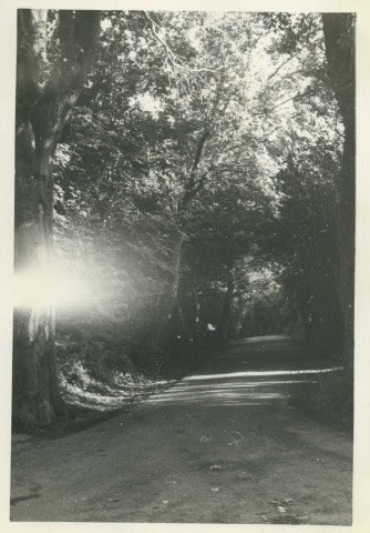 Chemin de la plage de Porcé [Chemin boisé] / [ Ville de Saint-Nazaire], [Saint-Nazaire],[vers 1950].