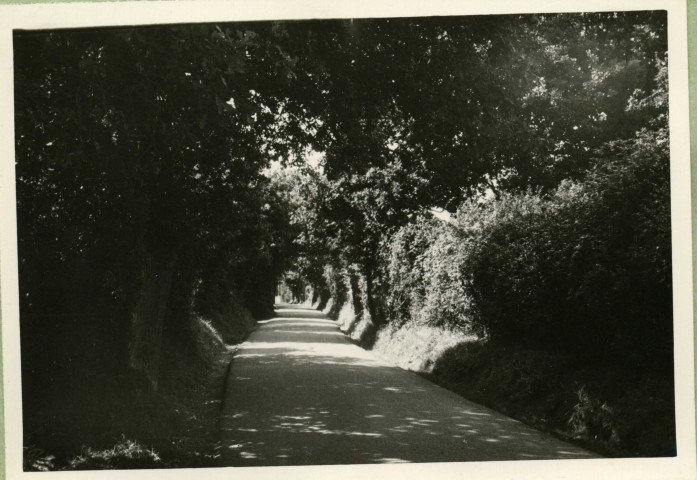 Chemin de Porcé [chemin boisé] / [ Ville de Saint-Nazaire], [Saint-Nazaire],[vers 1950].
