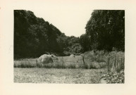 La prairie.- [Saint-Nazaire], [vers 1950].