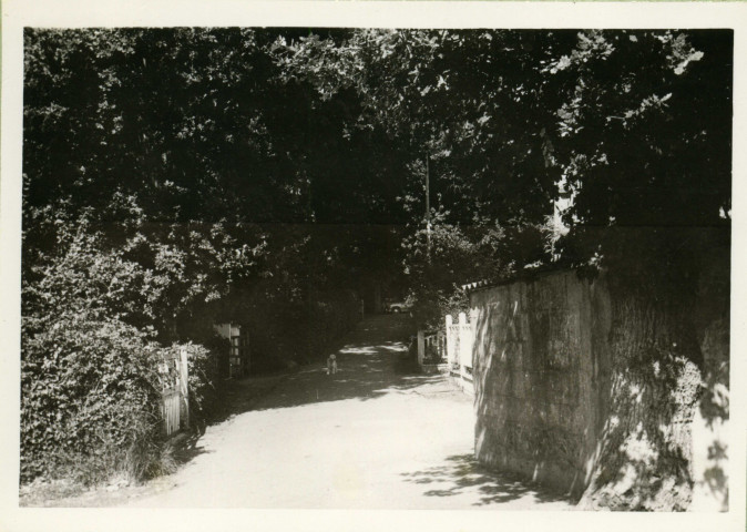 Chemin des Dames [partie du chemin des Dames] / [Saint-Nazaire].- [Saint-Nazaire], [vers 1950].