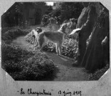 "La Charpentrais" [Cordemais] 13 juin 1915. - [Deux chiens dans un allée près d'un homme et d'une femme] /Louis Penéau