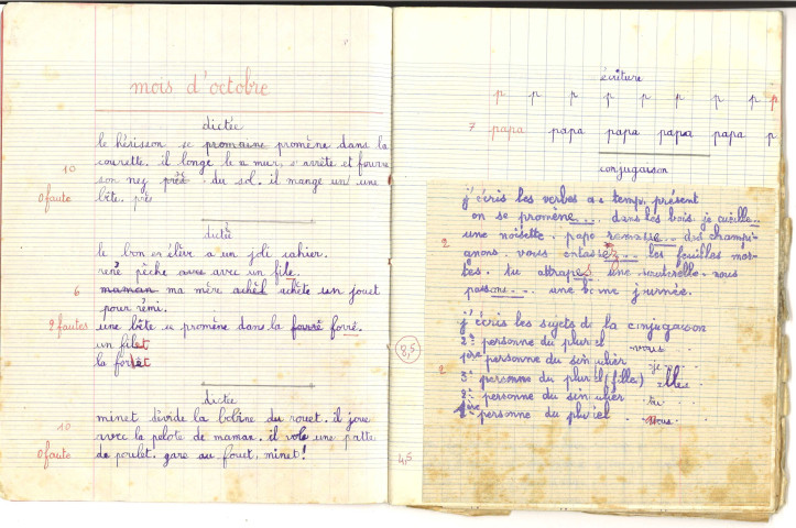 Cahier d'écolier : extrait