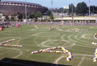 1981 : Photographies.