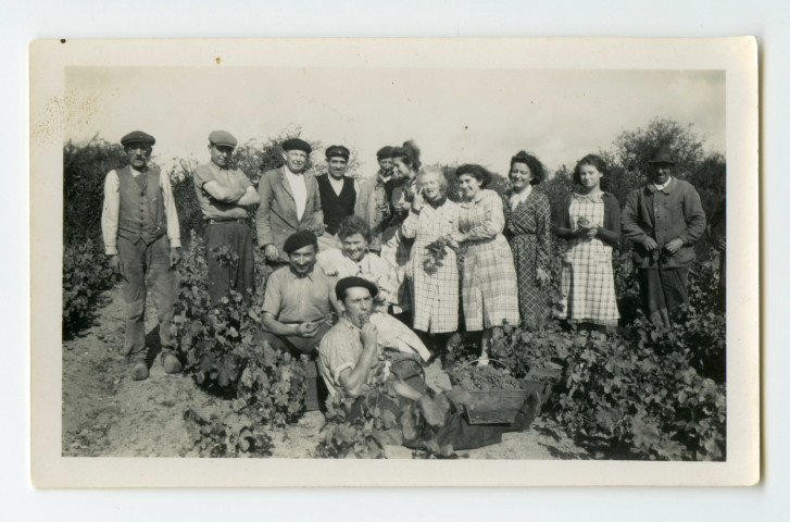 Vendanges des vignes familiales. - Gavy, 11 octobre 1941